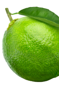 lime.jpg
